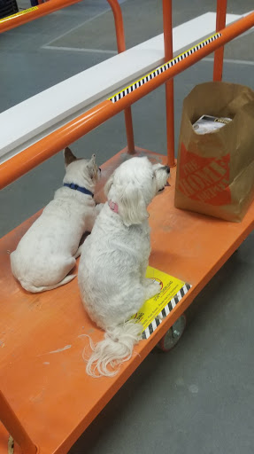 Home Improvement Store «The Home Depot», reviews and photos, 20 Gateway Village Rd, Bluffton, SC 29910, USA