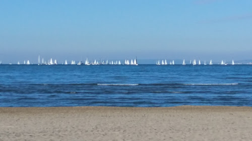 attractions plage des mouettes Le Grau-du-Roi