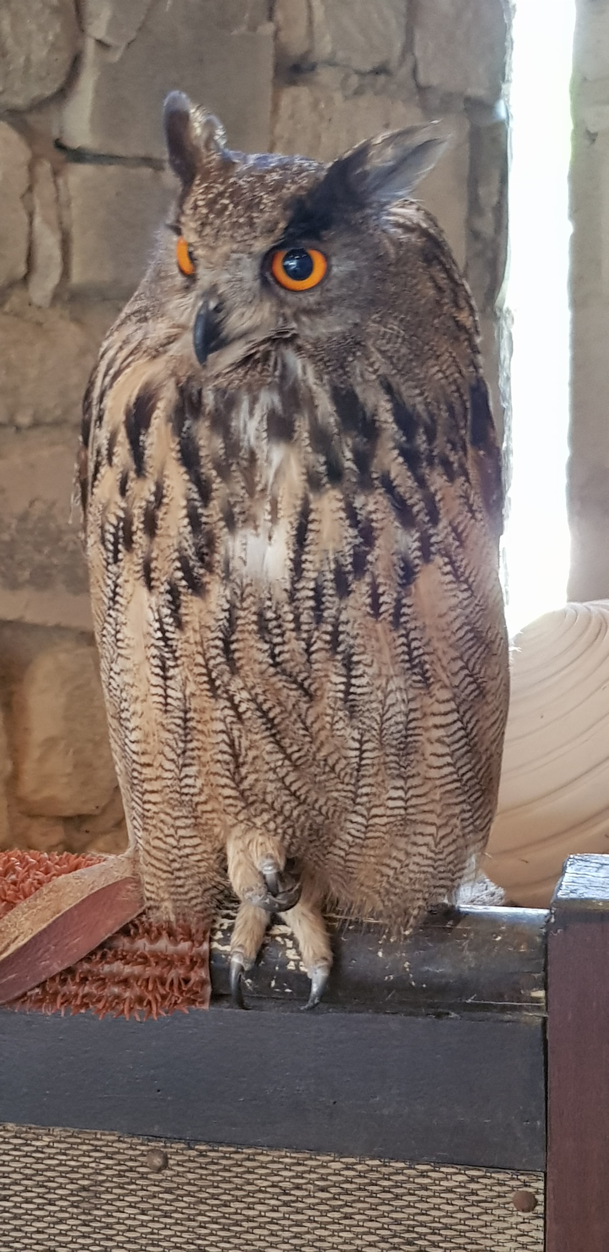 Photo n° 1 de l'avis de francois.o fait le 09/09/2018 à 14:03