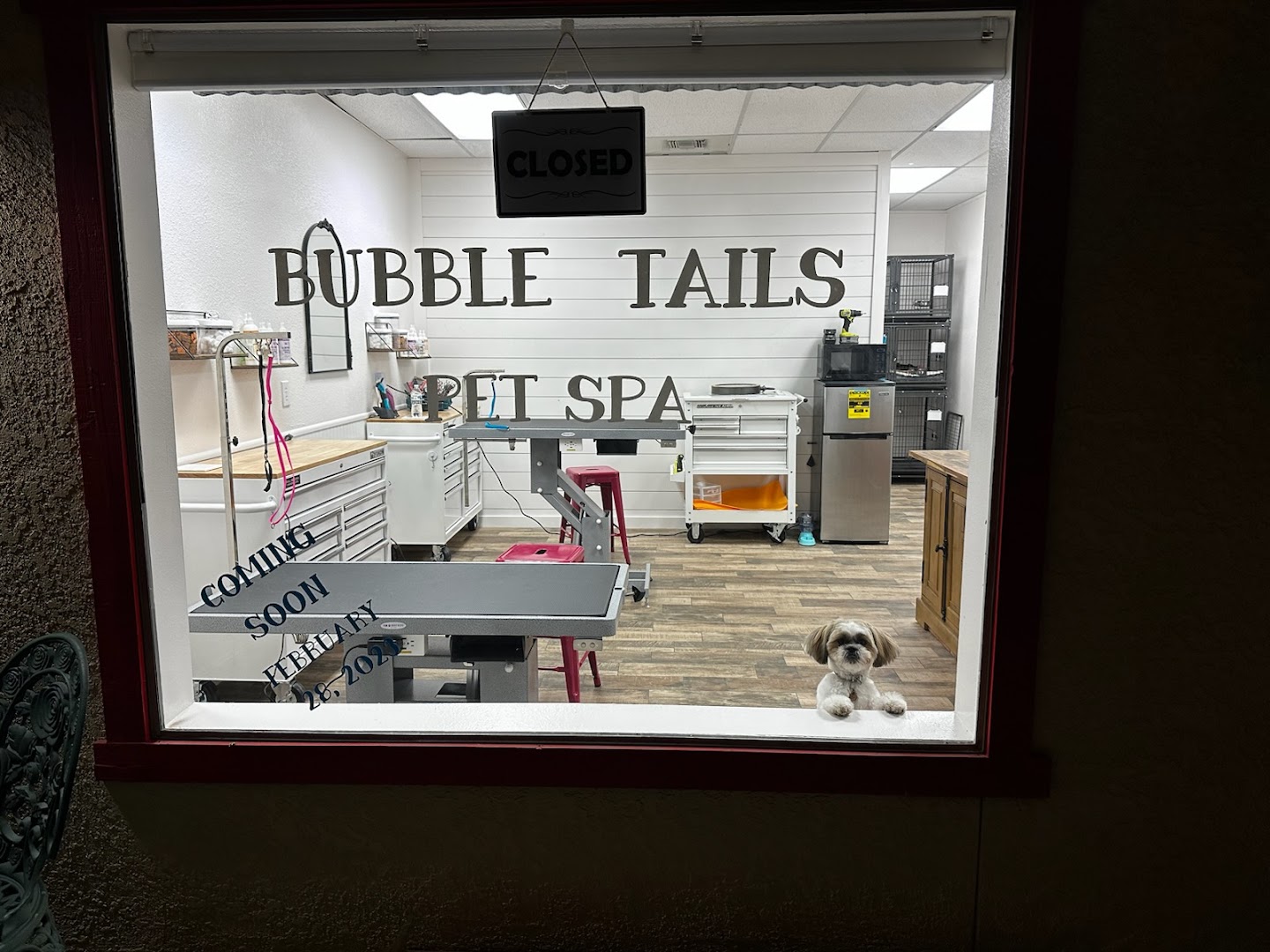 Bubble Tails Pet Spa