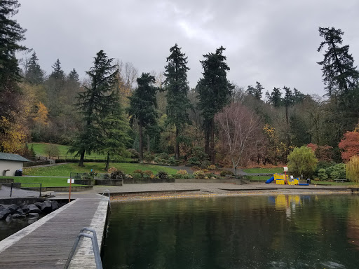 Park «Chism Beach Park», reviews and photos, 9600 SE 11th St, Bellevue, WA 98004, USA