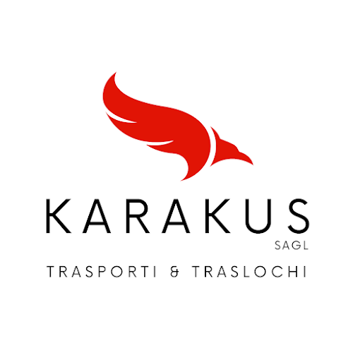 Rezensionen über Karakus Sagl in Lugano - Kurierdienst