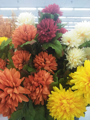 Discount Store «99 Cents Only Stores», reviews and photos, 20165 N 67th Ave, Glendale, AZ 85308, USA