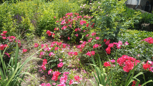 National Park «Hamilton Grange National Memorial», reviews and photos, 414 W 141st St, New York, NY 10031, USA