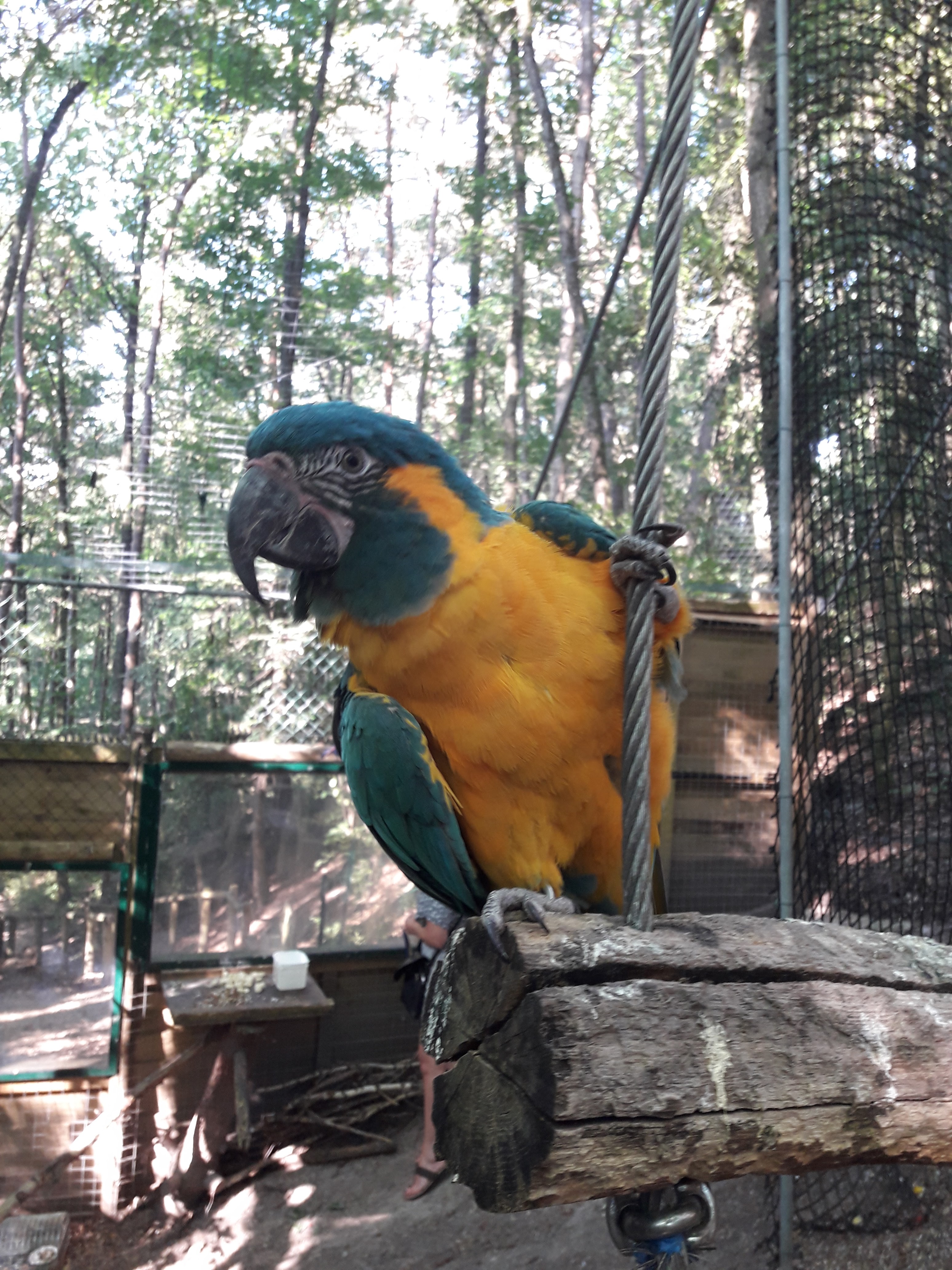 Photo n° 15 de l'avis de Christophe.l fait le 01/07/2018 à 13:30