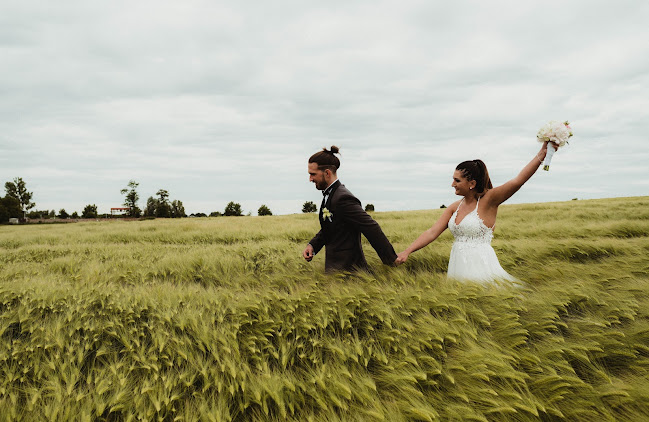 Értékelések erről a helyről: abvisual-wedding, Nagykanizsa - Fényképész