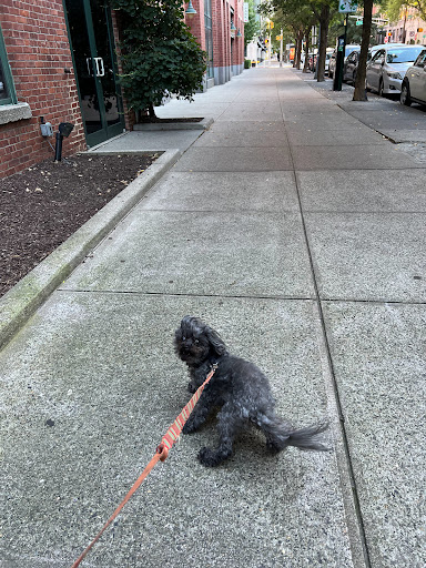 History Museum «Hoboken Historical Museum», reviews and photos, 1301 Hudson St, Hoboken, NJ 07030, USA