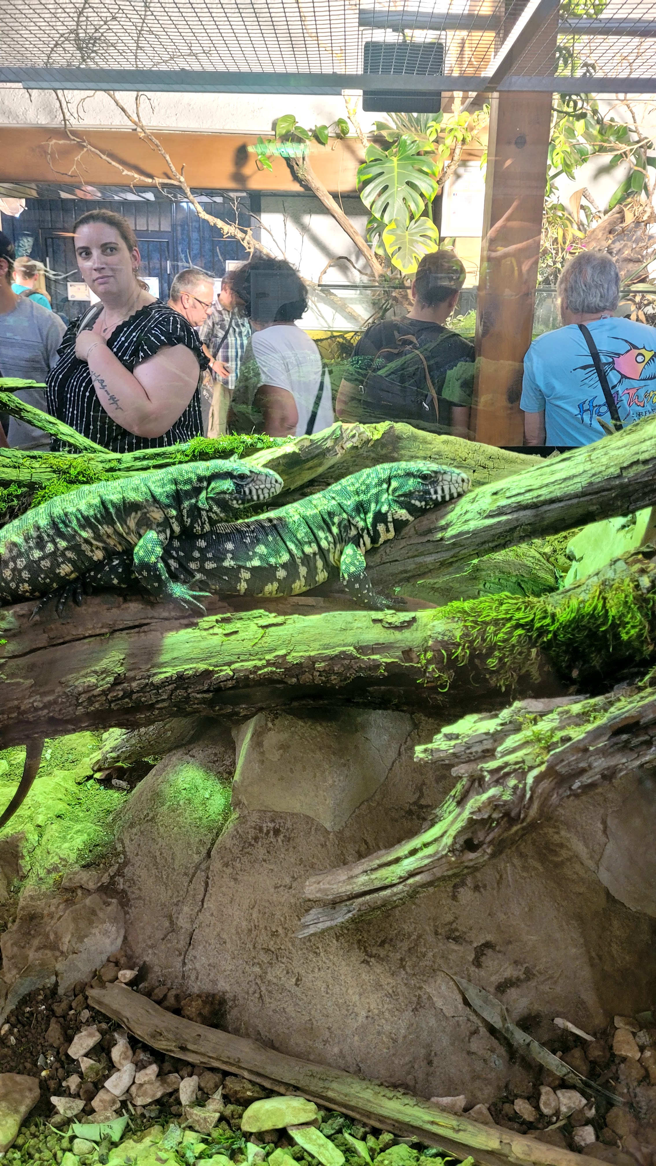 Photo n° 2 de l'avis de Anthony.e fait le 08/07/2023 à 20:58