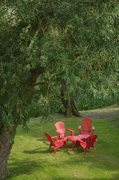 Photo n°30 de Brasserie du Lac à Mesnil-Saint-Père ()