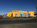 Dog shops in Auckland