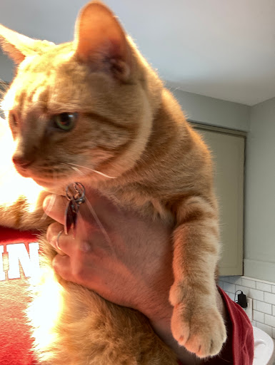 Plumber «Gillece Services Plumbing Heating Cooling and Electrical», reviews and photos, 3000 Washington Pike, Bridgeville, PA 15017, USA