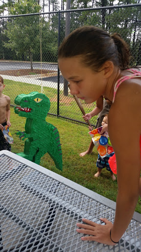 Swimming Pool «Seven Springs Water Park», reviews and photos, 3820 Brown Pkwy, Powder Springs, GA 30127, USA