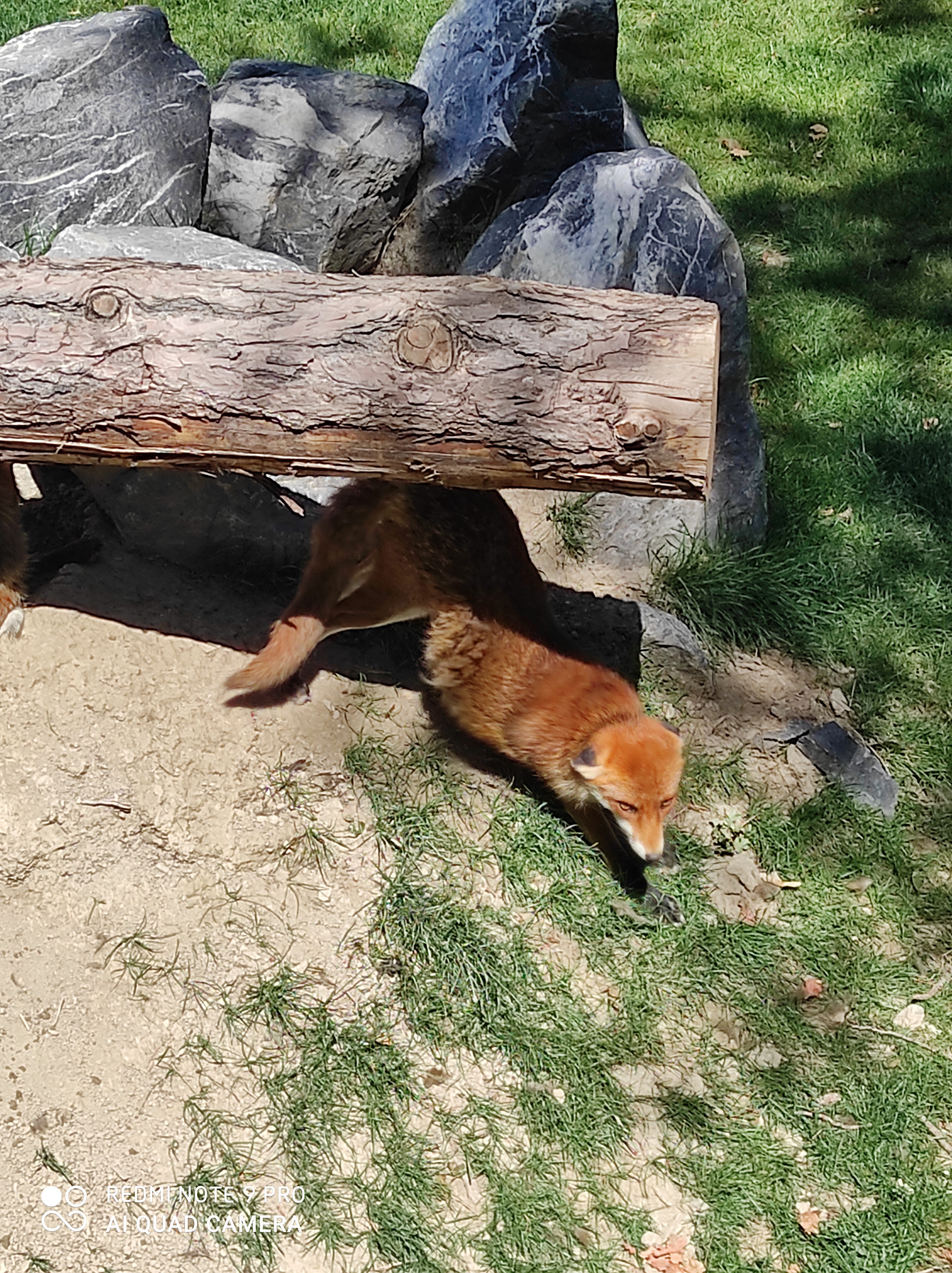 Photo n° 1 de l'avis de Alysse.u fait le 06/08/2020 à 11:16