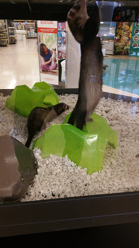 Pet Supply Store «Petco Animal Supplies», reviews and photos, 1704 US Hwy 27 S, Sebring, FL 33870, USA