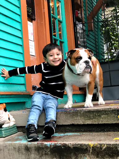 Thrift Store «Lucky Dog Clothing», reviews and photos, 8201 Greenwood Ave N, Seattle, WA 98103, USA