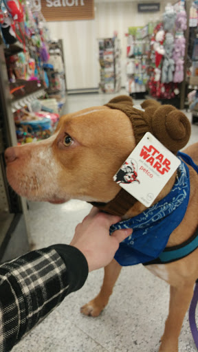 Pet Supply Store «Petco Animal Supplies», reviews and photos, 1203 SE Everett Mall Way f, Everett, WA 98208, USA