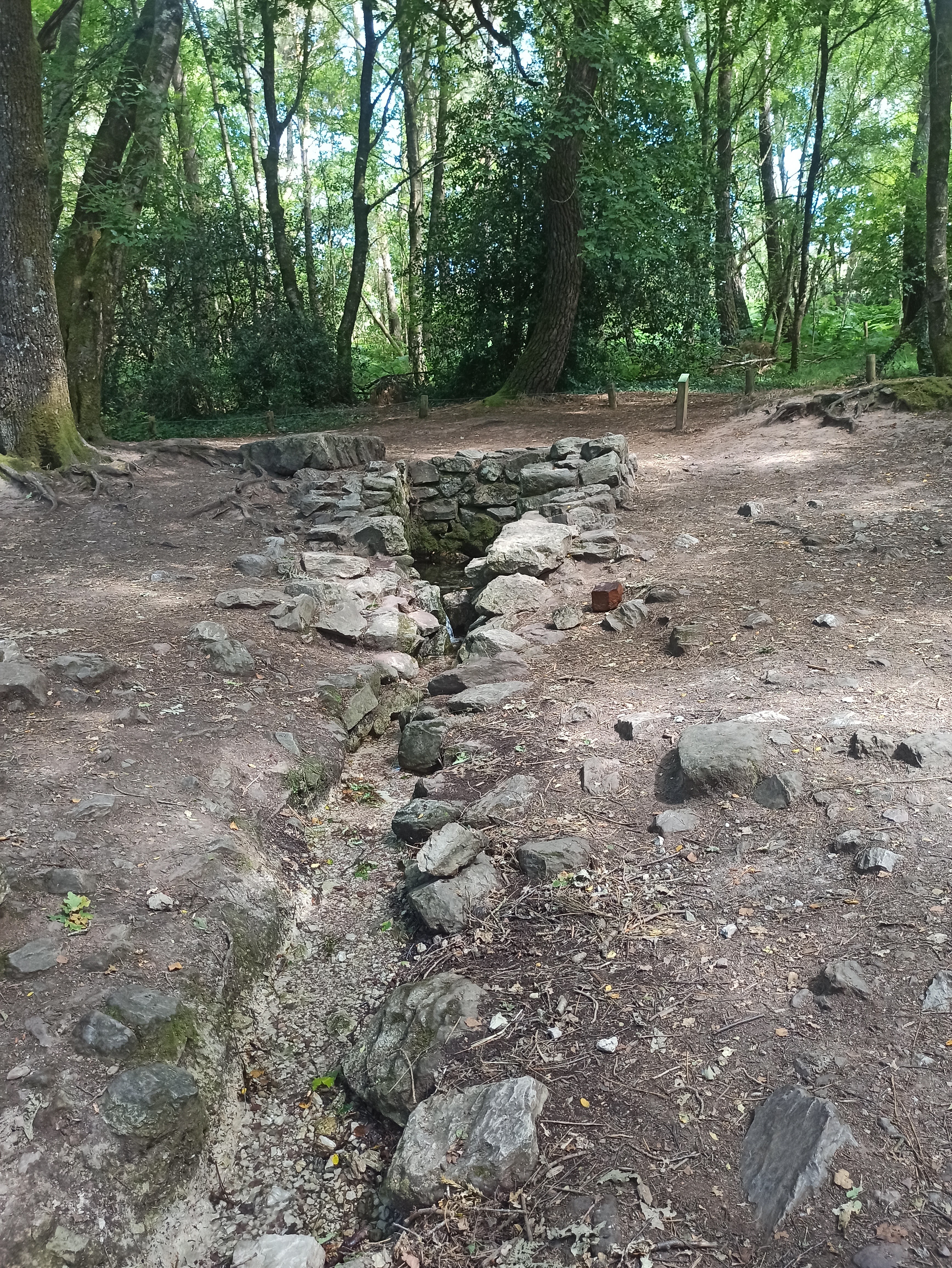 Photo n° 1 de l'avis de Clément. fait le 10/07/2023 à 18:27