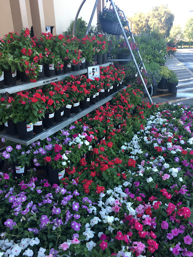 The Home Depot image