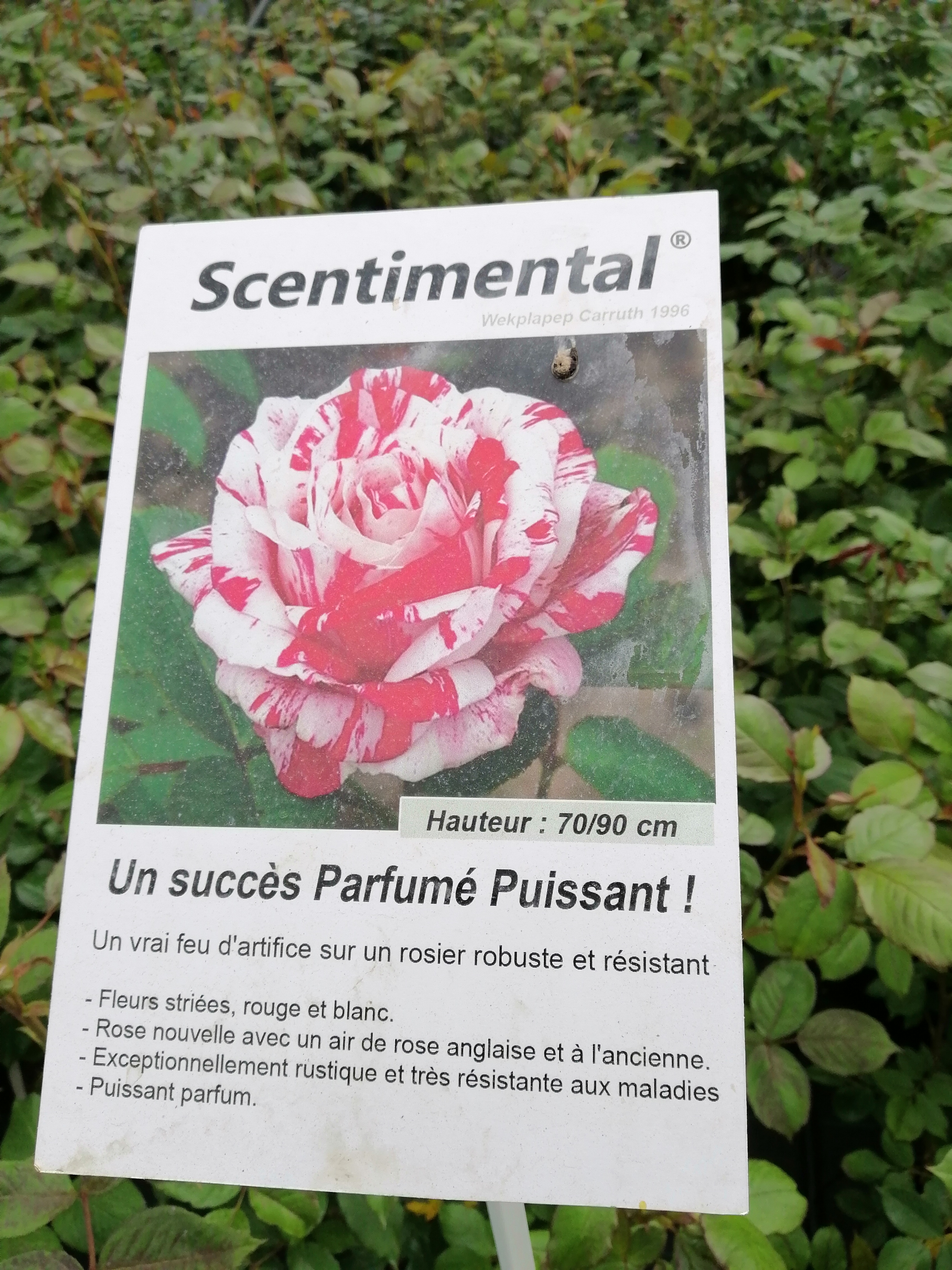 Photo n° 12 de l'avis de Isabel.r fait le 24/04/2019 à 16:53