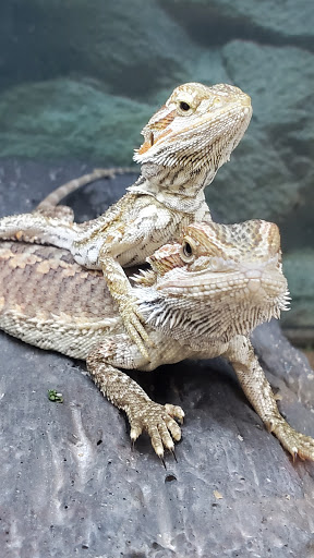 Pet Supply Store «Petco Animal Supplies», reviews and photos, 18578 Coastal Hwy #12, Rehoboth Beach, DE 19971, USA