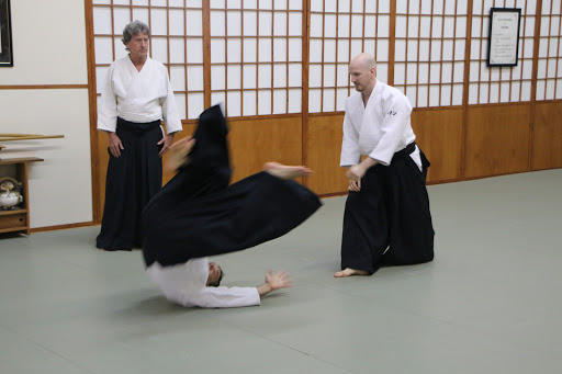 Northern Virginia Ki-Aikido