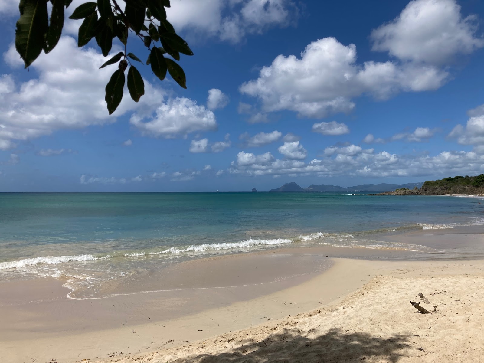 Petite Anse des Salines'in fotoğrafı geniş ile birlikte