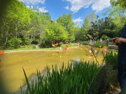 Zoo «Nashville Zoo at Grassmere», reviews and photos, 3777 Nolensville Pike, Nashville, TN 37211, USA