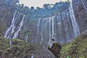 coban sewu waterfall image