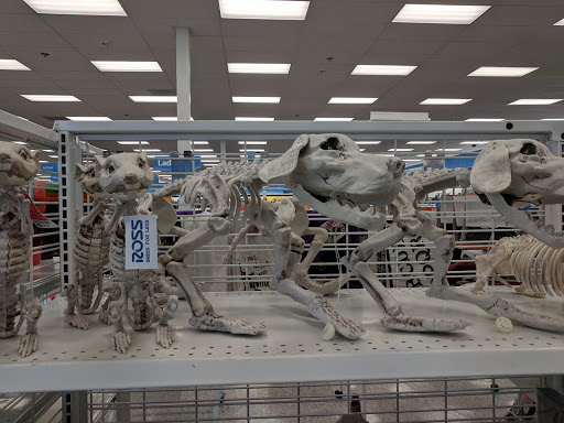 Clothing Store «Ross Dress for Less», reviews and photos, 17170 Redmond Way, Redmond, WA 98052, USA