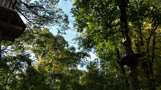 Recreation Center «Go Ape Zip Line & Treetop Adventure - Creve Coeur Park», reviews and photos, 13219 Streetcar Dr, Maryland Heights, MO 63043, USA