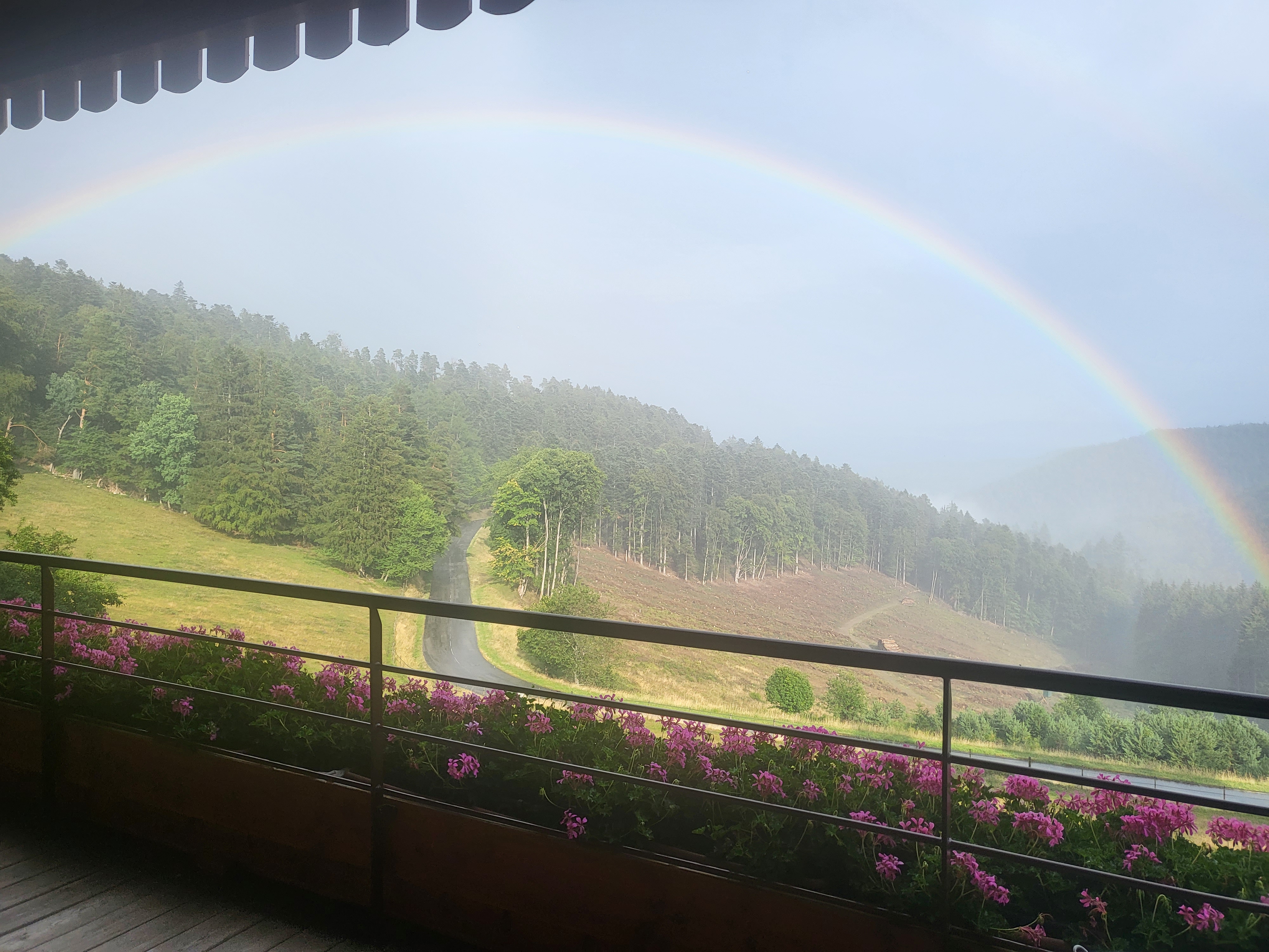 Photo n° 1 de l'avis de perrine.a fait le 21/07/2023 à 17:26