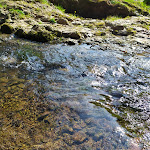 Photo n° 2 de l'avis de eve.a fait le 26/04/2021 à 16:15 pour Cascade du Gué du Saut à Xertigny