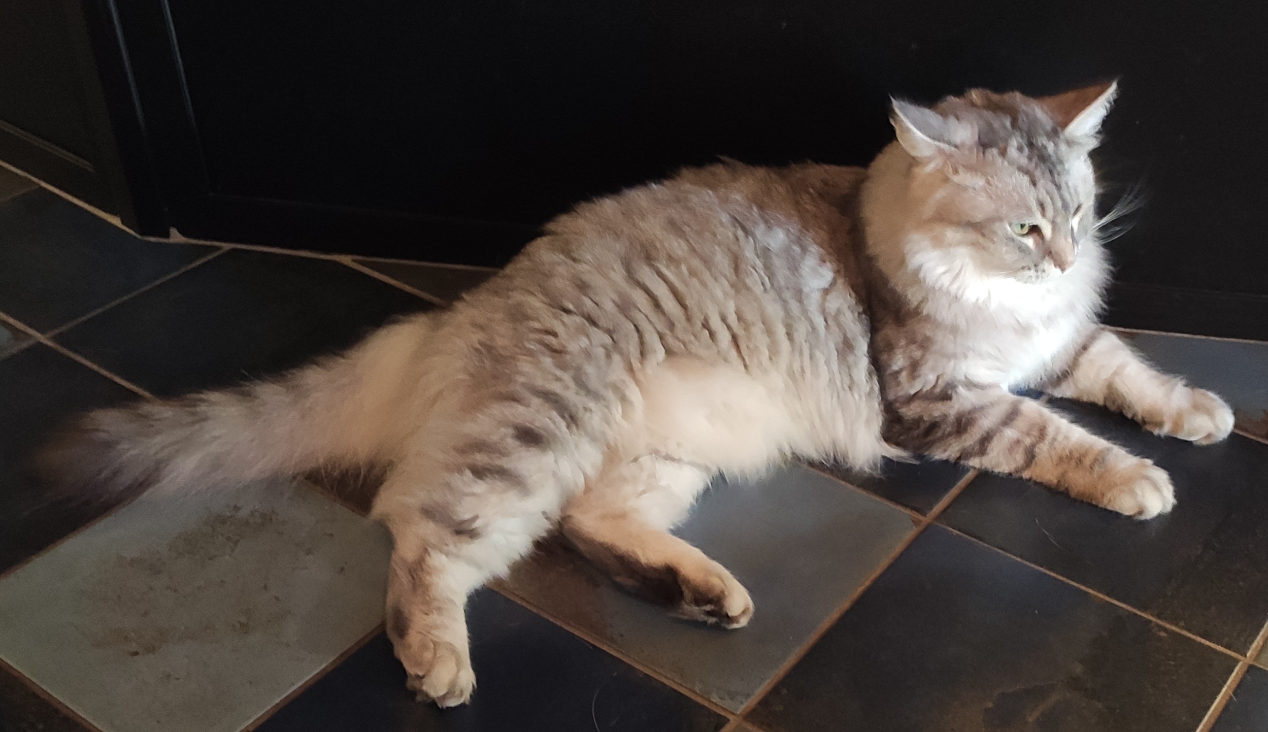 Photo n° 2 de l'avis de cécile.e fait le 10/09/2023 à 15:42