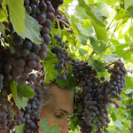 Photo n°4 de l'avis de karen.a fait le 29/09/2019 à 10:30 sur le  Hotel Villa del Quar à Quar