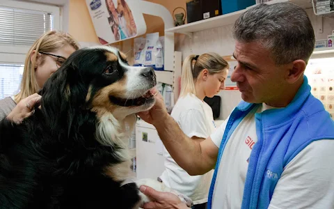 DVM. Petr Pohořalý Veterinary Clinic A.A.R. image