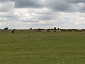 Wilverley Plain car park