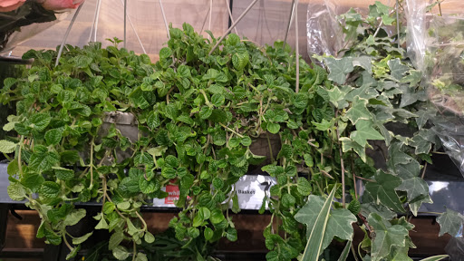 Supermarket «Best Market Massapequa», reviews and photos, 5601 Merrick Rd, Massapequa, NY 11758, USA