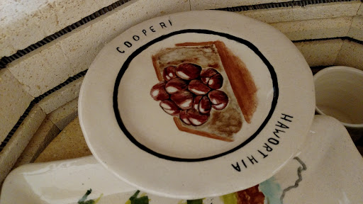 Performing Arts Theater «Dreams of Wilmington», reviews and photos, 901 Fanning St, Wilmington, NC 28401, USA