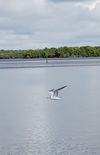 Tour Agency «Everglades National Park Boat Tours», reviews and photos