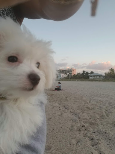 Park «El Prado Park», reviews and photos, 4500 El Mar Dr, Lauderdale-By-The-Sea, FL 33308, USA