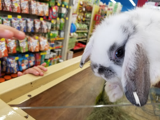 Pet Supply Store «Pet Supermarket», reviews and photos, 465 State Rd 13, Fruit Cove, FL 32259, USA