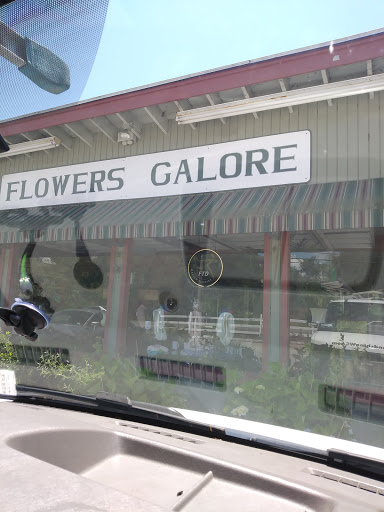 Flowers Galore, 12 Harding St, Middleborough, MA 02346, USA, 