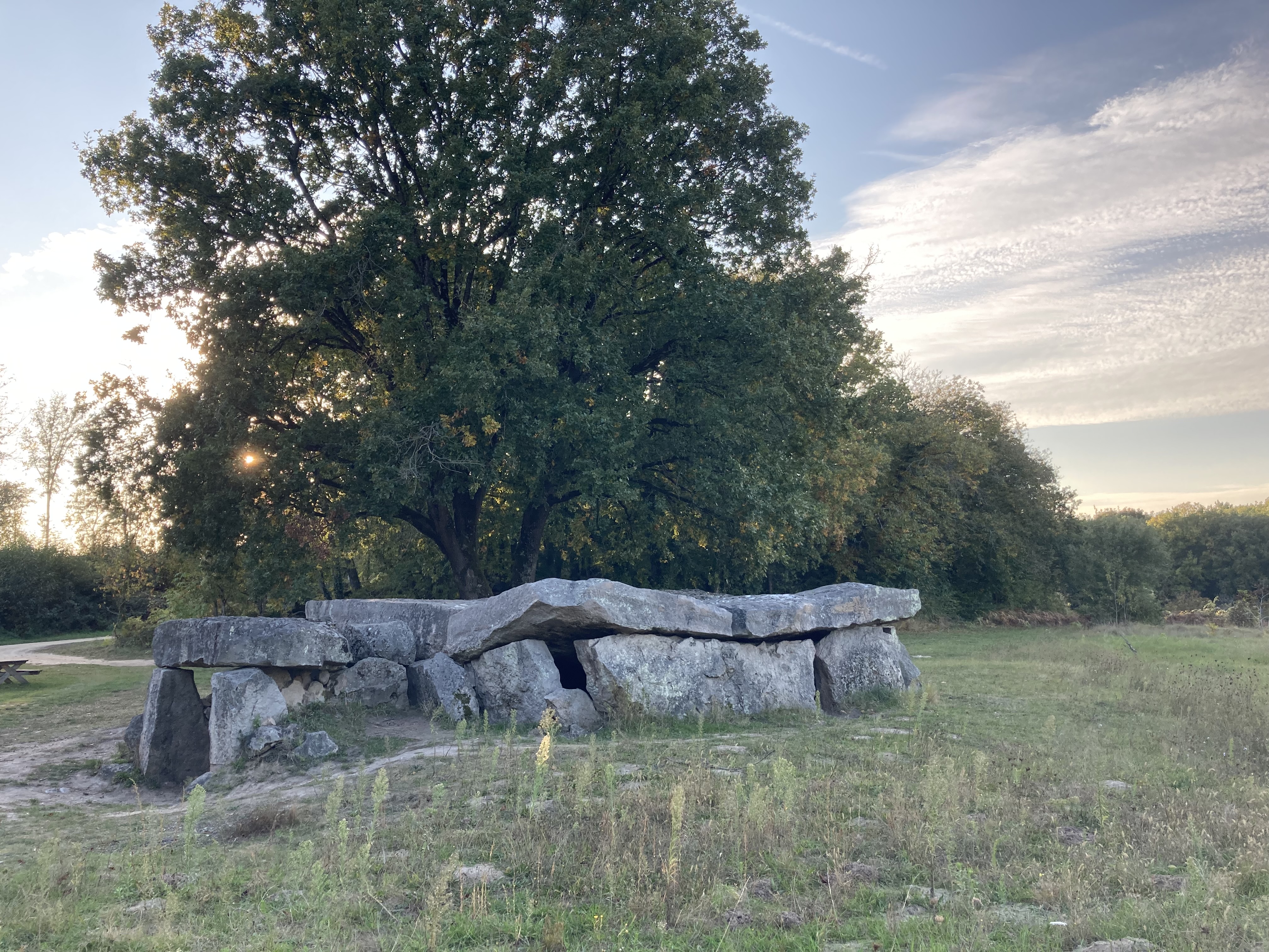 Photo n° 12 de l'avis de Jean-Baptiste.u fait le 19/10/2021 à 21:51