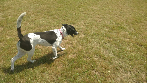 History Museum «Battleship North Carolina», reviews and photos, 1 Battleship Rd NE, Wilmington, NC 28401, USA