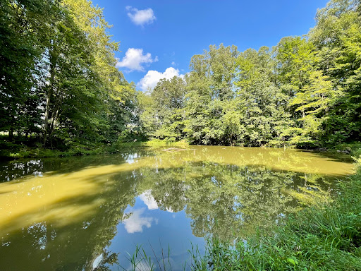 National Park «Friendship Hill National Historic Site», reviews and photos, 223 New Geneva Road, Point Marion, PA 15474, USA