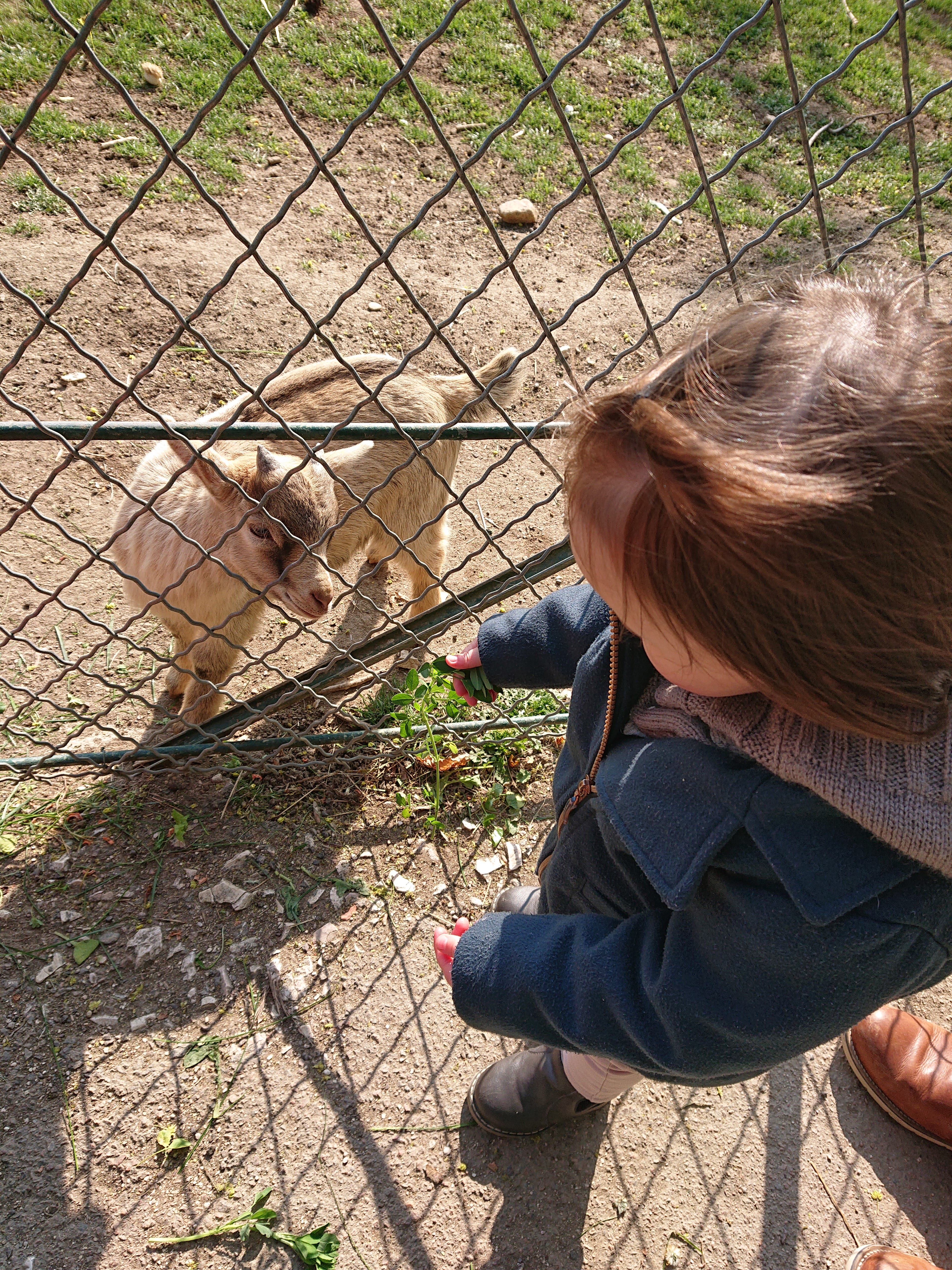 Photo n° 1 de l'avis de Cécilia. fait le 23/04/2019 à 07:07