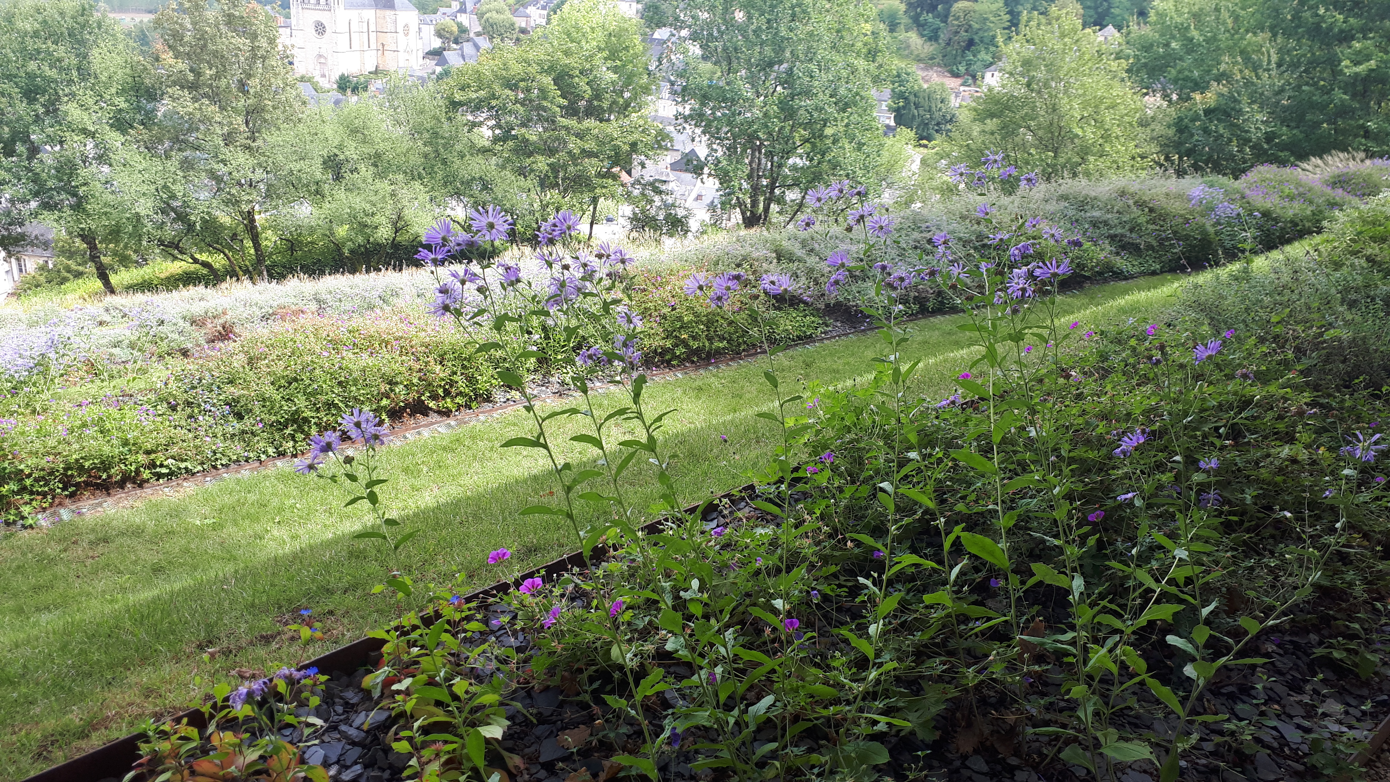 Photo n° 13 de l'avis de Cécile.i fait le 22/08/2020 à 17:28