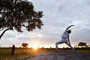 Victoria Falls Yoga image