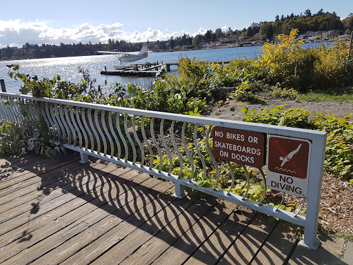 Park «Lundeen Park», reviews and photos, 10020 Lundeen Park Way, Lake Stevens, WA 98258, USA