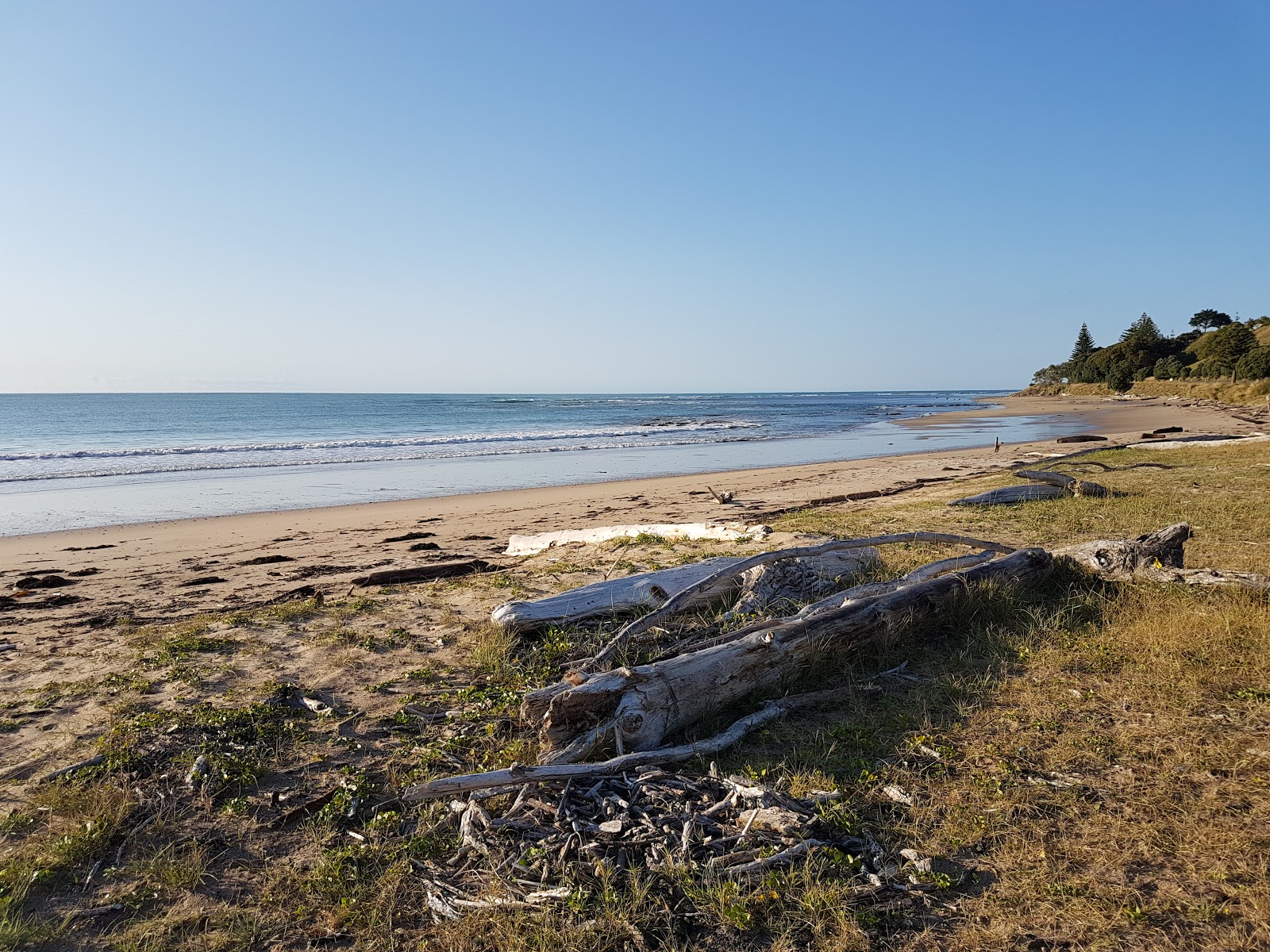 Zdjęcie Turihaua Beach z powierzchnią jasny piasek